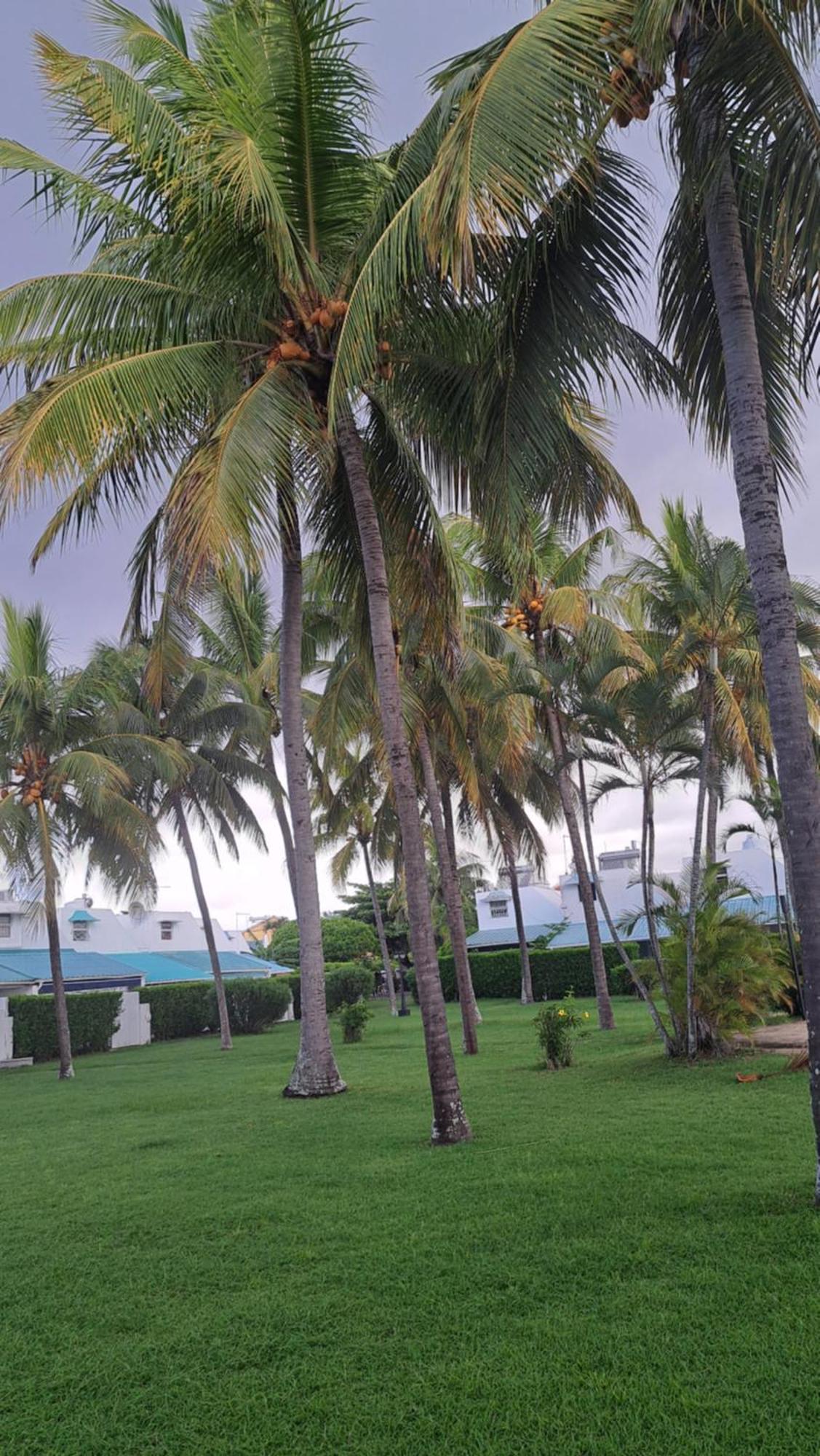 Peaceful And Private Villa กรองด์เบย์ ภายนอก รูปภาพ